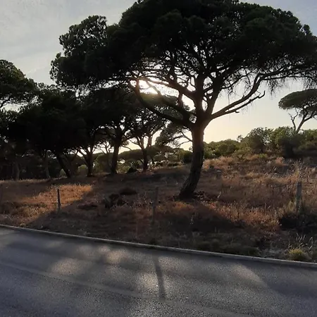 Casa Da Falesia 度假居 阿尔马达